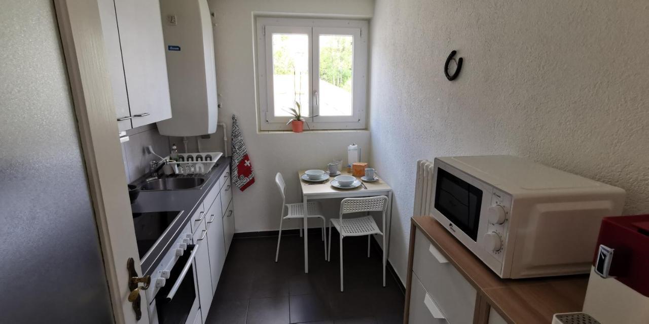 Helvetia 2 Zimmer Apartment Mit Parkplatz Zurych Zewnętrze zdjęcie